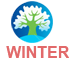 Winter Icon